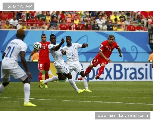 热刺外围远射威力十足，库卢切夫斯基劲射再破门